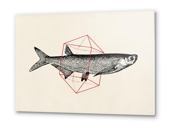 Fish In Geometrics II Metal prints by Florent Bodart - Speakerine