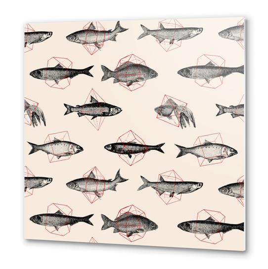 Fishes In Geometrics Metal prints by Florent Bodart - Speakerine