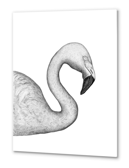 Flamingo Metal prints by Nika_Akin