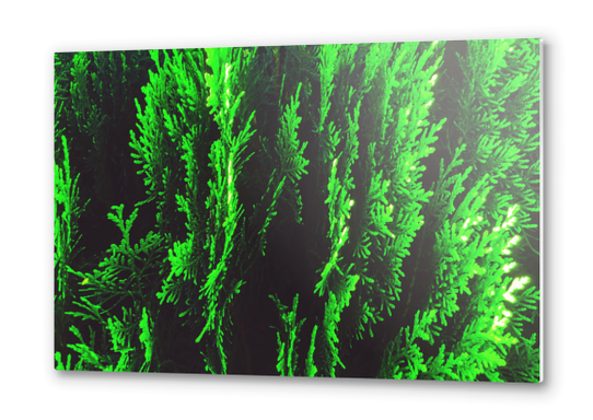 closeup green leaf texture abstract background Metal prints by Timmy333