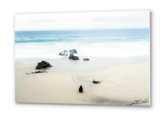 beach and sand with blue sky Metal prints by Timmy333