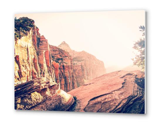 At Zion national park, USA in summer Metal prints by Timmy333
