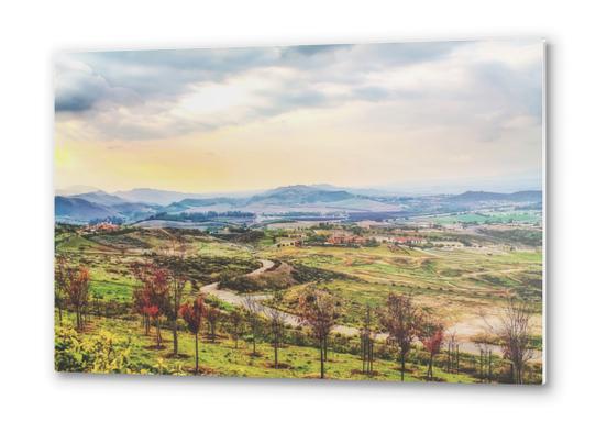 summer sunlight with cloudy sky and rural view Metal prints by Timmy333