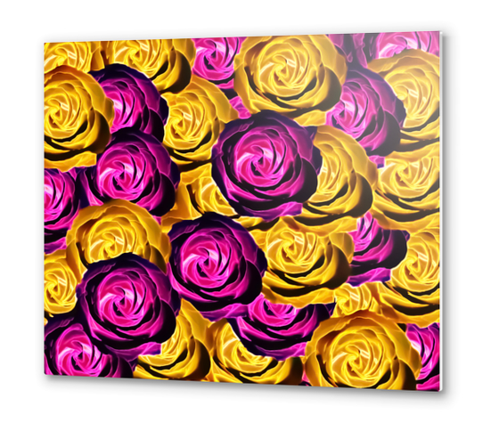 blooming rose texture pattern abstract background in pink and yellow Metal prints by Timmy333