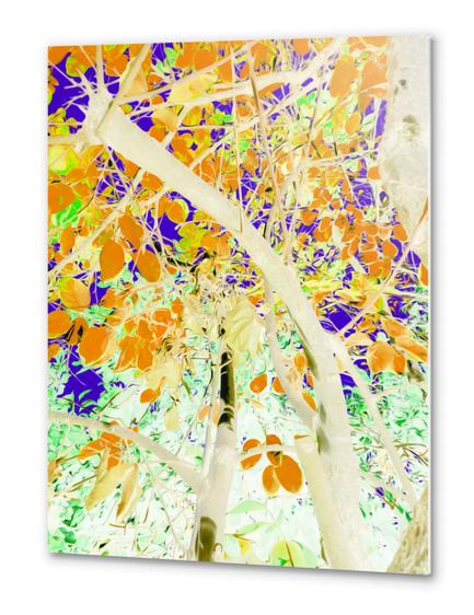 drawing tree with orange leaves and purple background Metal prints by Timmy333