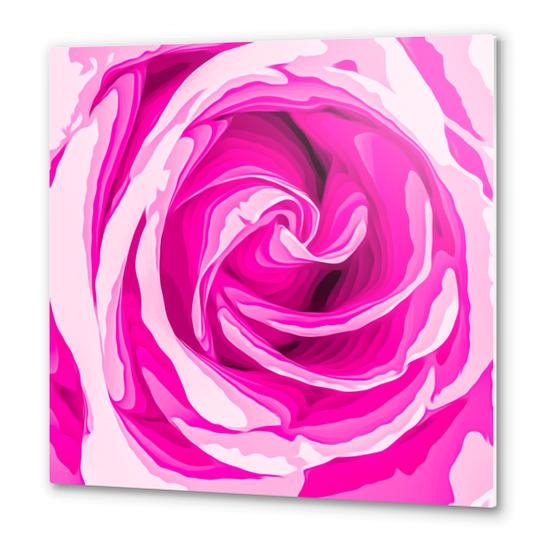 closeup fresh pink rose texture abstract background Metal prints by Timmy333