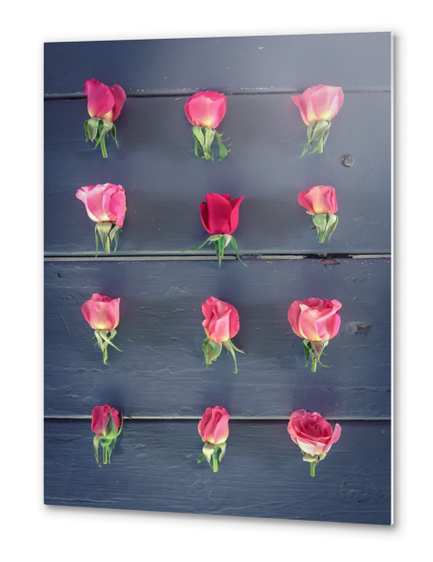 pink roses and red rose on the table Metal prints by Timmy333