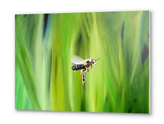 L'abeille Metal prints by Kapoudjian