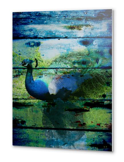  Peacock I  Metal prints by Irena Orlov