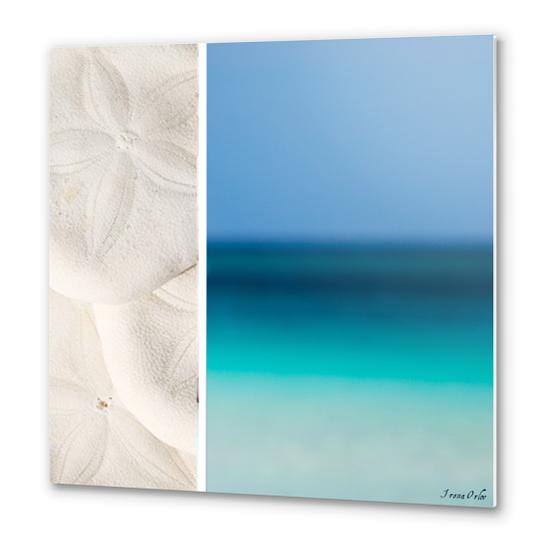 Coastal Metal prints by Irena Orlov