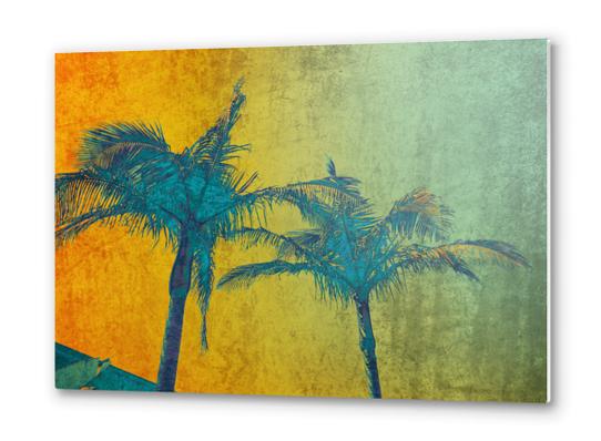 Palm Duet Metal prints by Irena Orlov