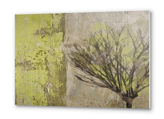 Tree at Twilight Metal prints by Irena Orlov