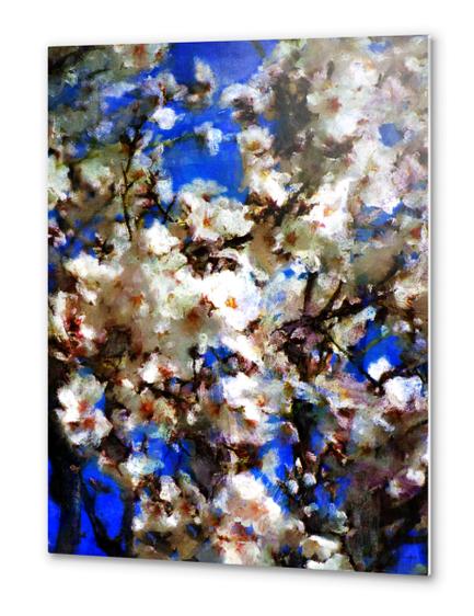 Receiving the spring Metal prints by rodric valls