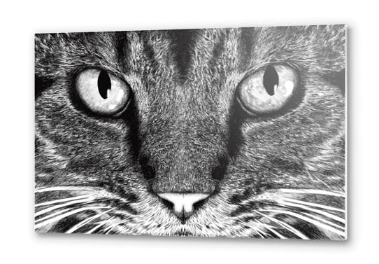 The Cat Metal prints by Tummeow
