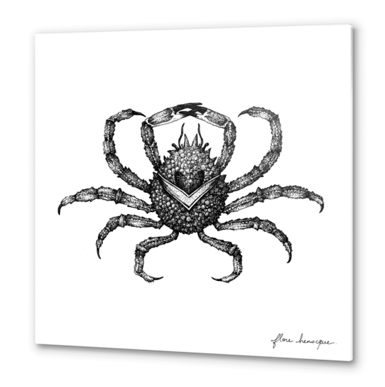 Araignée de mer Metal prints by Florehenocque