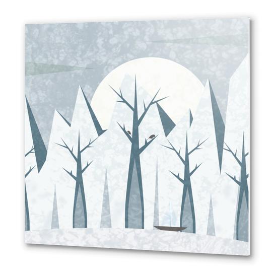 Exploring Arctic Metal prints by ivetas