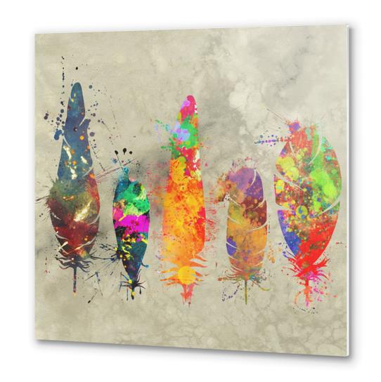 Painted feathers Metal prints by Alexandre Ibáñez