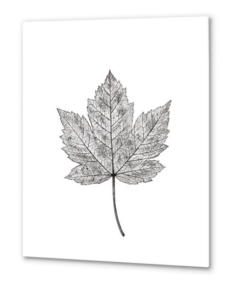 Maple Leaf Metal prints by Nika_Akin