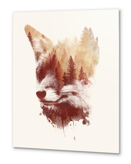 Blind Fox Metal prints by Robert Farkas