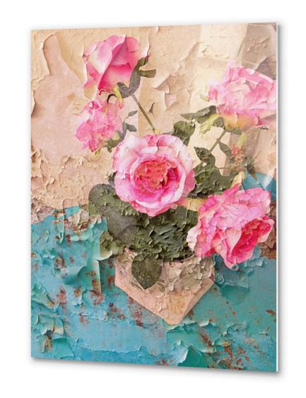 Roses de Lourmarin Metal prints by Ivailo K