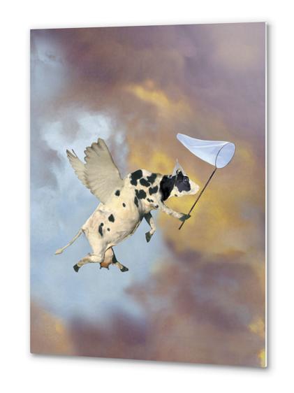 Crazy Cow Metal prints by tzigone