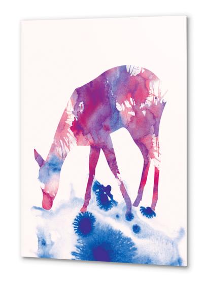 Fawn Metal prints by Andreas Lie