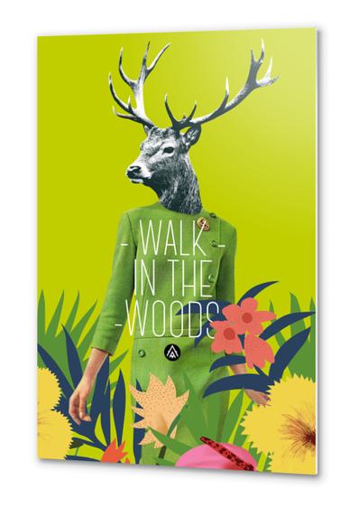 Walk in the woods Metal prints by Alfonse