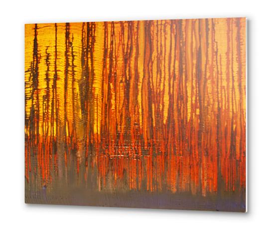 Forest Metal prints by di-tommaso