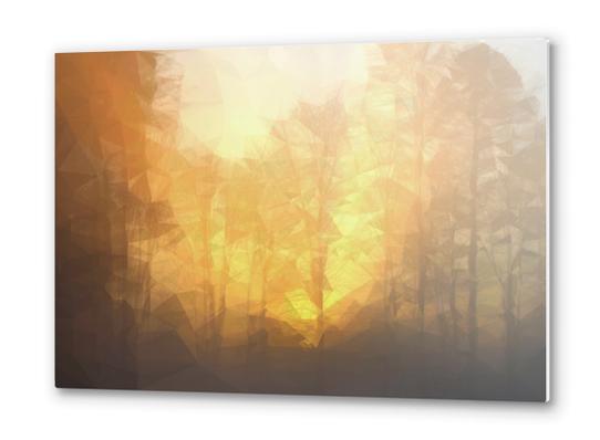 Forest in the sunrise Metal prints by Vic Storia
