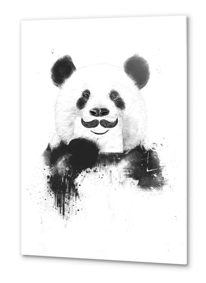 Funny panda Metal prints by Balazs Solti