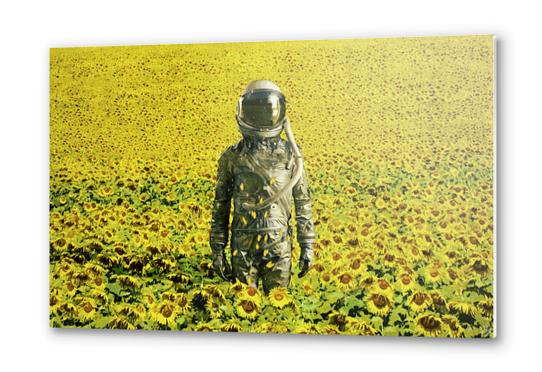 Stranded in the sunflower field Metal prints by Seamless