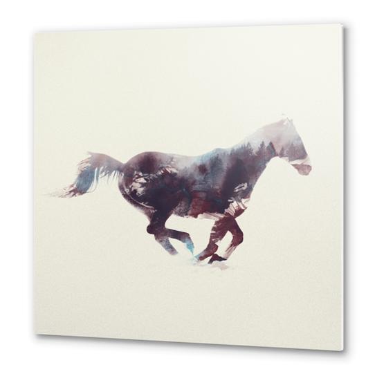 Horse Metal prints by Andreas Lie