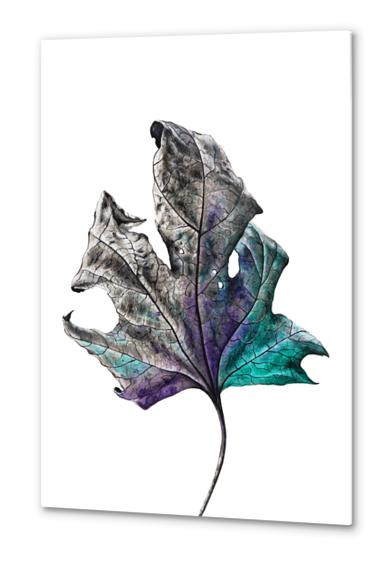 Leaf Metal prints by Nika_Akin