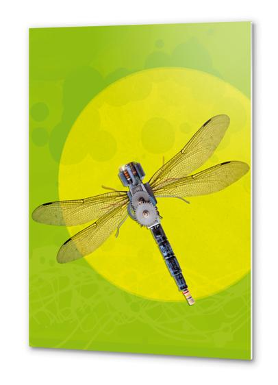 Mecanical Dragonfly Metal prints by tzigone