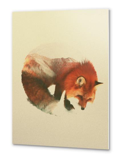 Snow Fox Metal prints by Andreas Lie