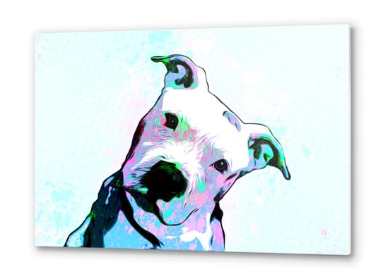 Pit bull - Puzzled - Pop Art  Metal prints by William Cuccio WCSmack