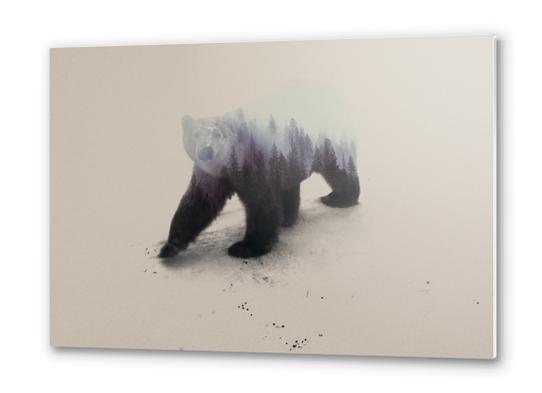 Polar Bear Metal prints by Andreas Lie