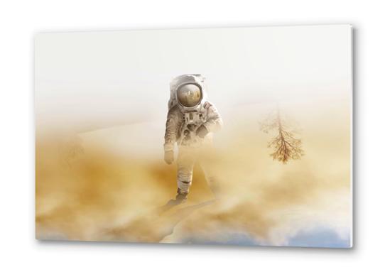Playing Mars on the desert Metal prints by fokafoka
