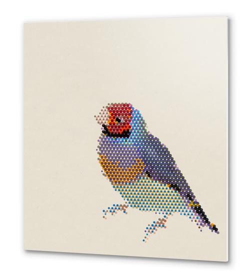 Red Head Bird Metal prints by Alex Xela