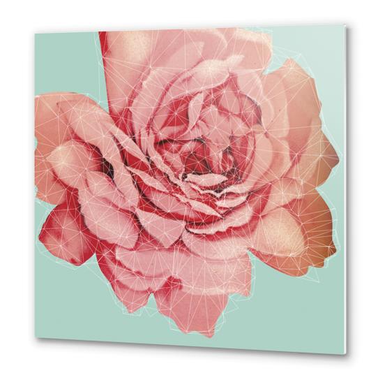 Rose construction Metal prints by Vic Storia