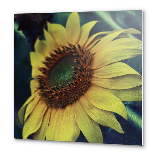Sunflower Metal prints by VanessaGF