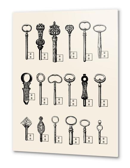 USB Keys Metal prints by Florent Bodart - Speakerine