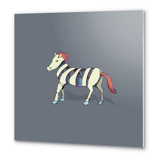 Rock Zebra Metal prints by Alex Xela