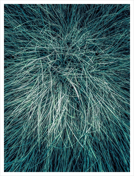 green silky grass texture background Art Print by Timmy333