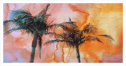 Palm Trees 2 Art Print by Irena Orlov