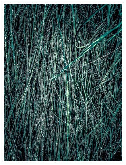 green silky grass texture abstract Art Print by Timmy333