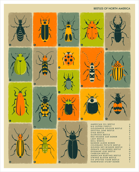 BEETLES OF NORTH AMERICA Art Print by Jazzberry Blue