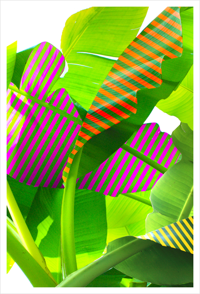 Banana stripes Art Print by fokafoka