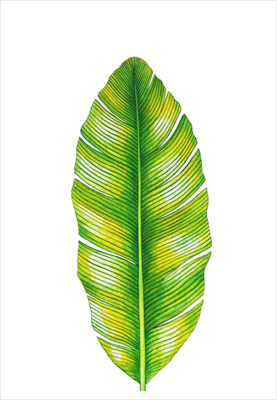 Banana Leaf Art Print by Nika_Akin
