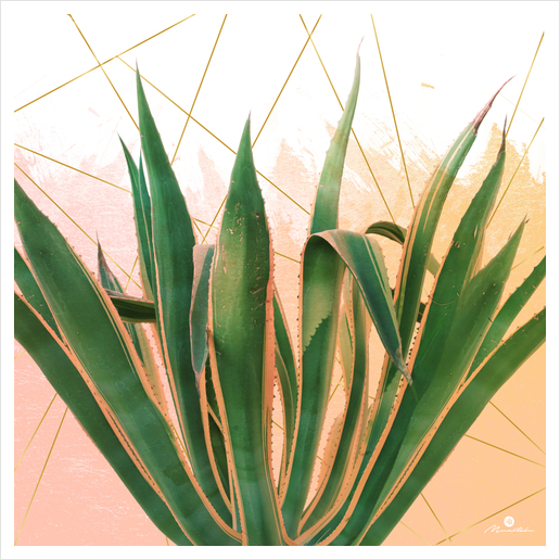 Cactus with geometric Art Print by mmartabc